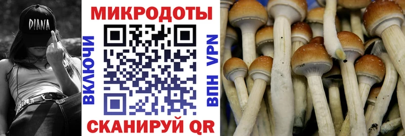 Купить закладки  Кремёнки  Псилоцибиновые грибы GOLDEN TEACHER 