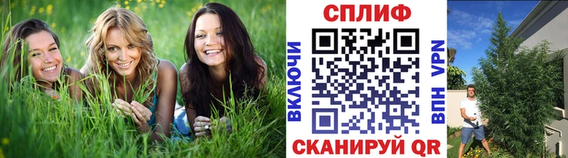 Купить где  Кремёнки  Каннабис сатива 